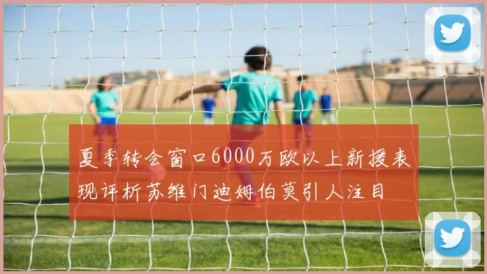 夏季转会窗口6000万欧以上新援表现评析苏维门迪姆伯莫引人注目