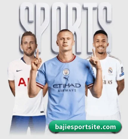 五大服务分区,信息按项目分类 | BAJIESPORTS